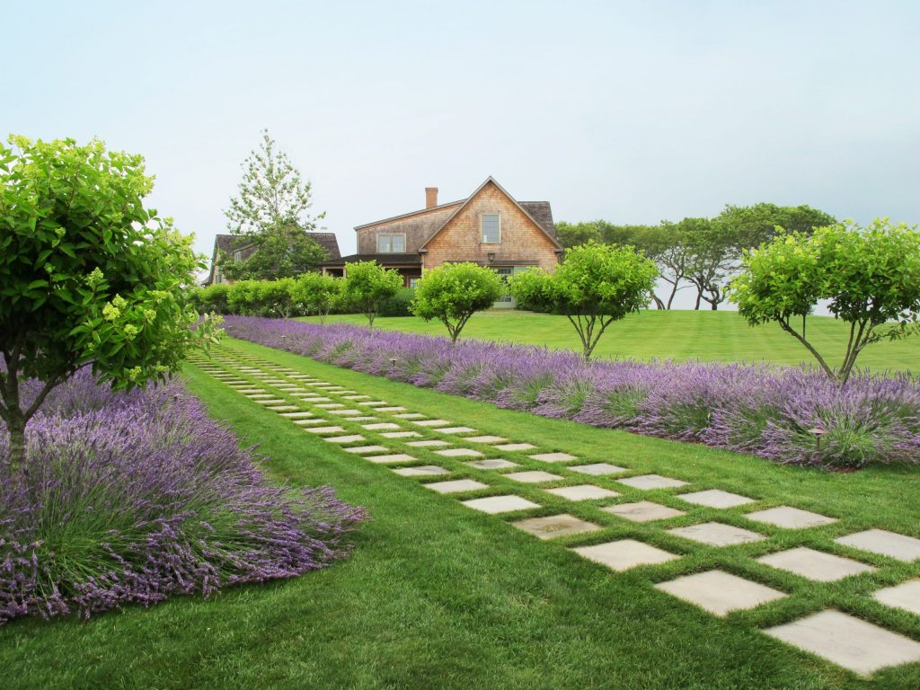 Exactly what is a Rain Garden?